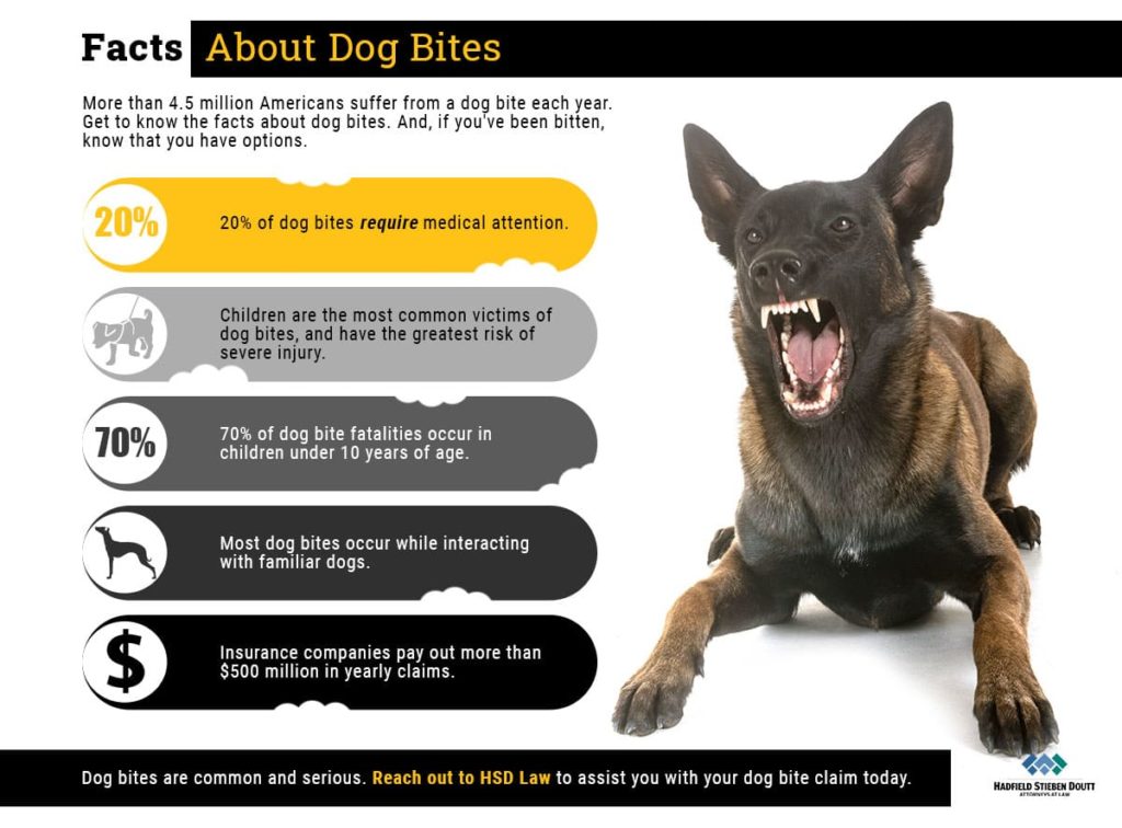 What Is A Dog Bite In Medical Terms at Mary Hansel blog
